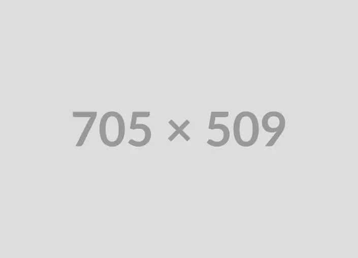 Over Half a Century of Industry Expertise
